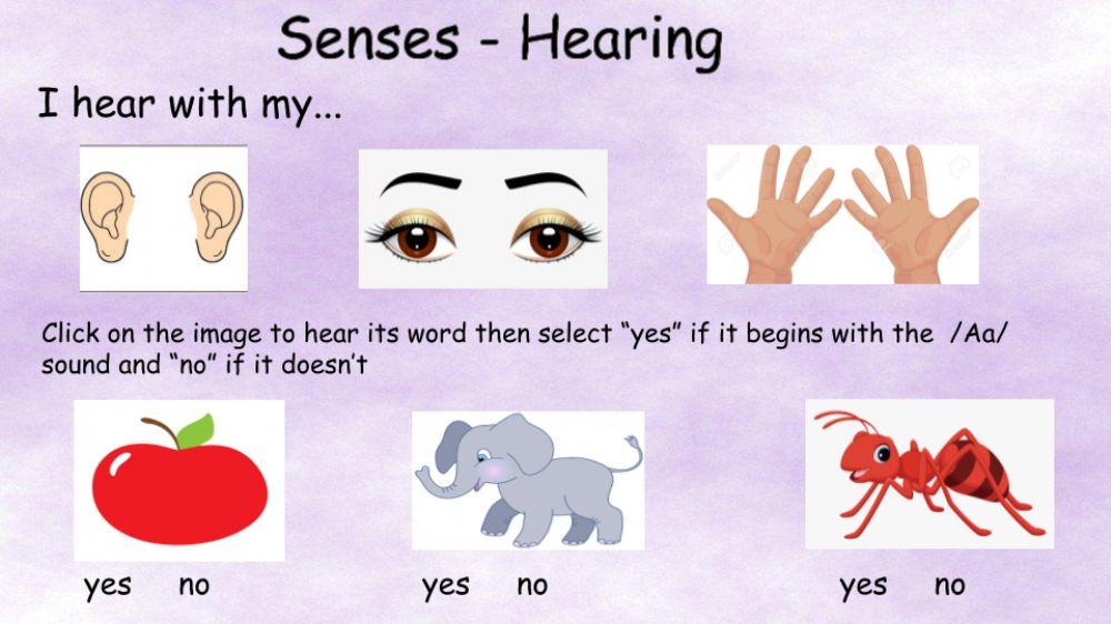 Senses: Hearing