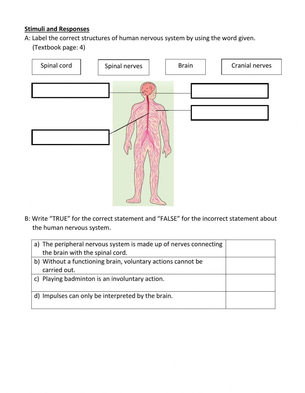 Science Form 3 Chapter 1 Stimuli And Responses Online Exercise For science-form-3-chapter-1-stimuli-and-responses-online-exercise-for
