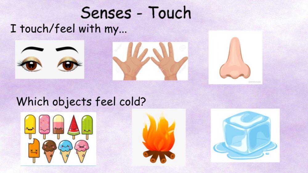 Senses - touch