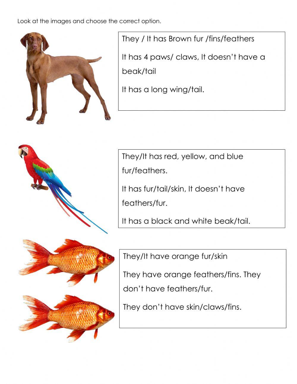 Animals' body parts and description