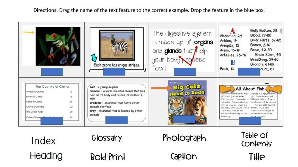 Text features matching worksheet live worksheets