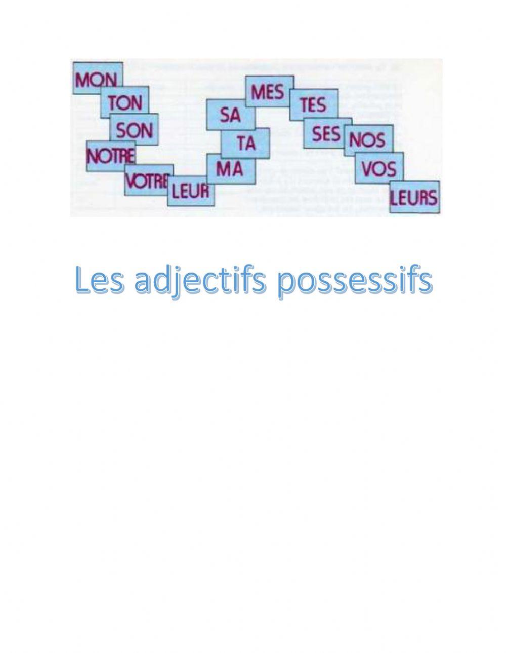 Révision possessifs