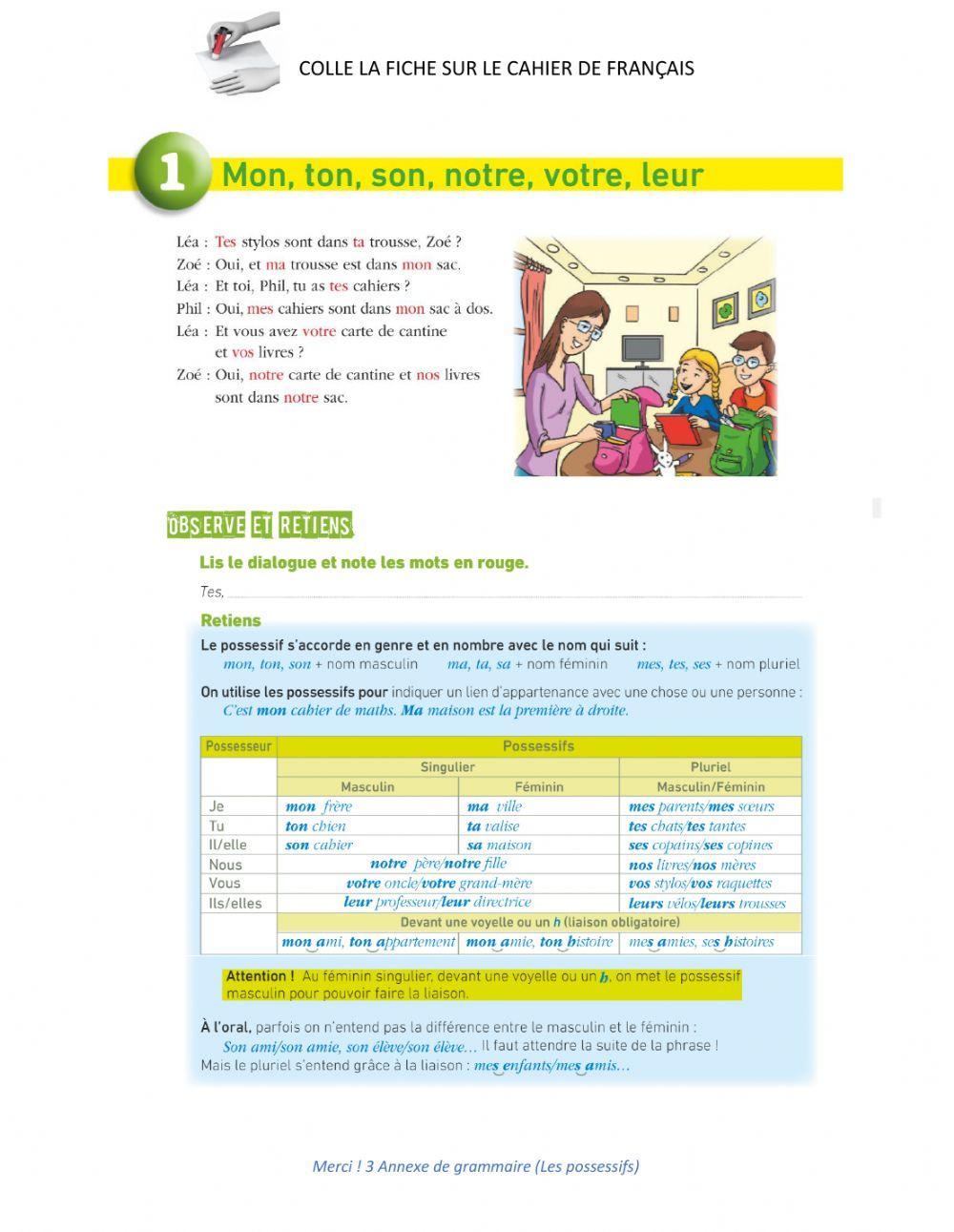 Révision possessifs