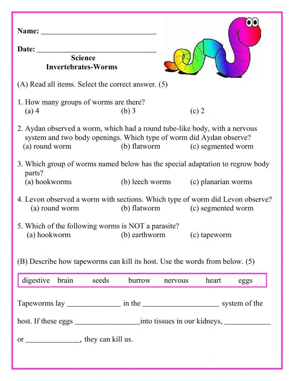 Invertebrates-Worms 2