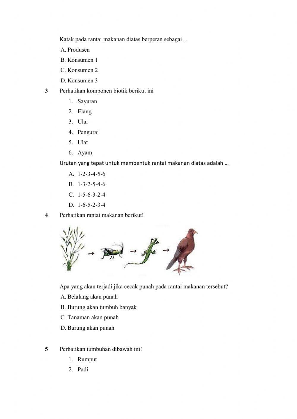 Soal evaluasi tema 5 st2 pb2