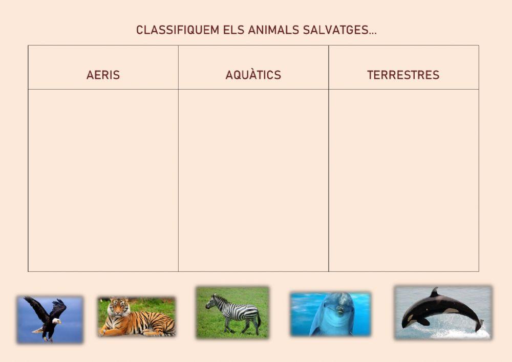 Classificació animals salvatges