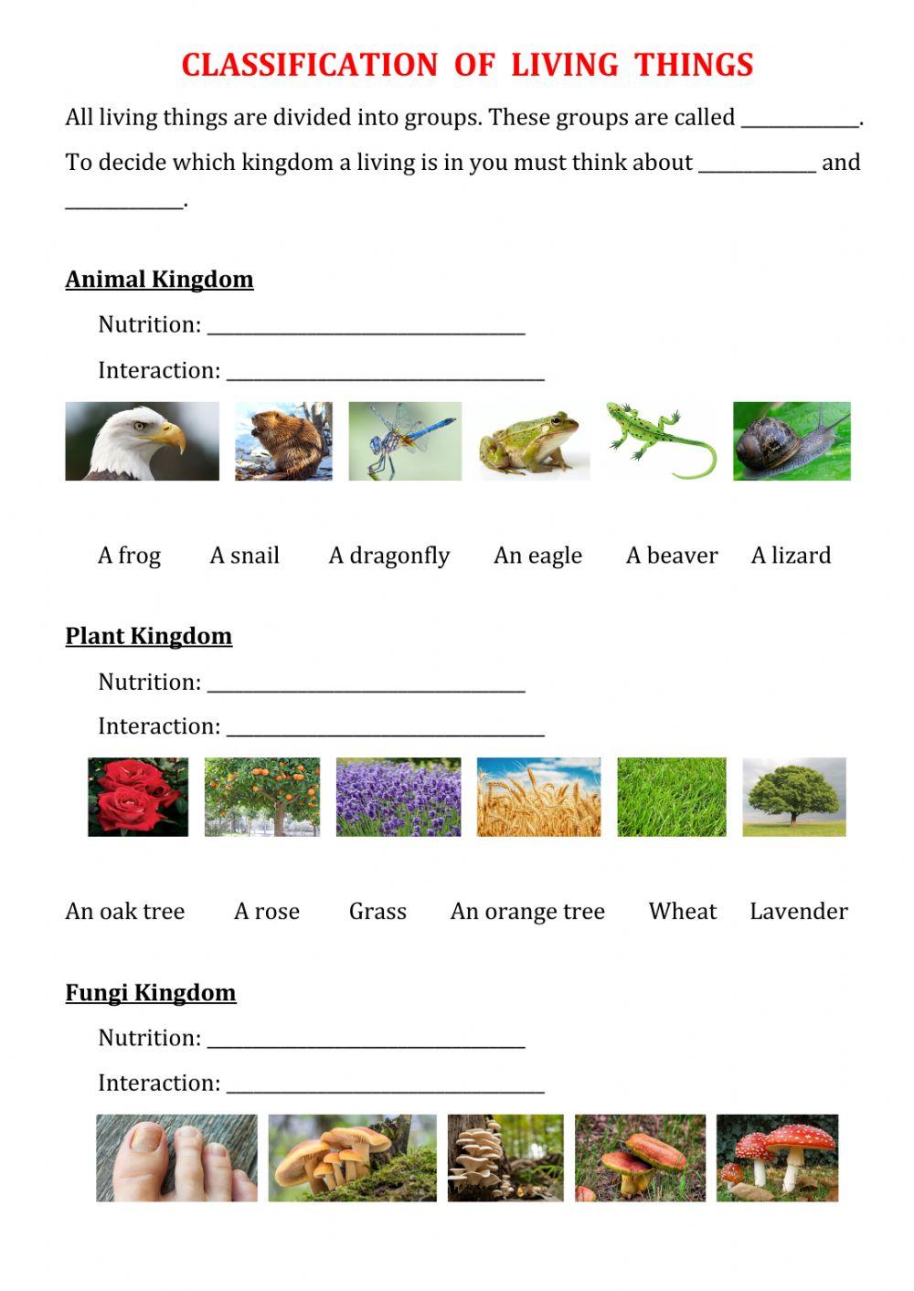 Natural. Tema 1. 2. Classification of living things Natural. Tema 1. 2. Classification of living things