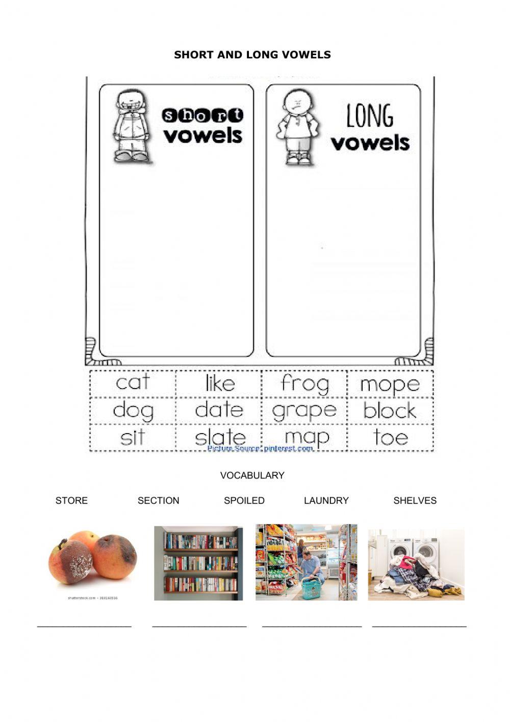 Grade 3 REVIEW TERM 1