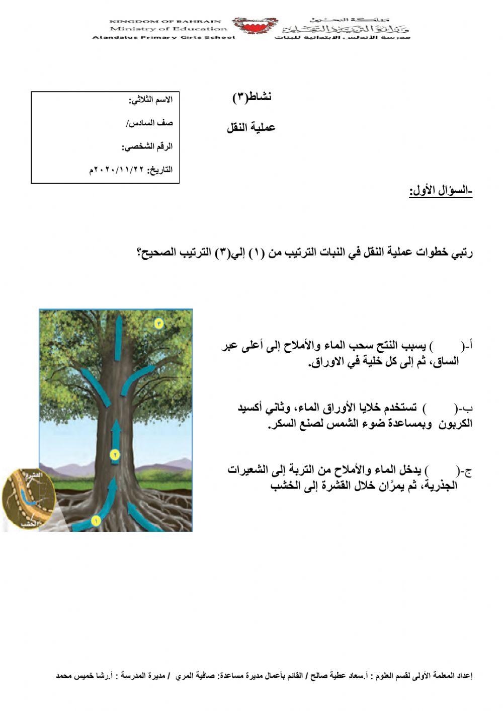 عملية النقل في النبات