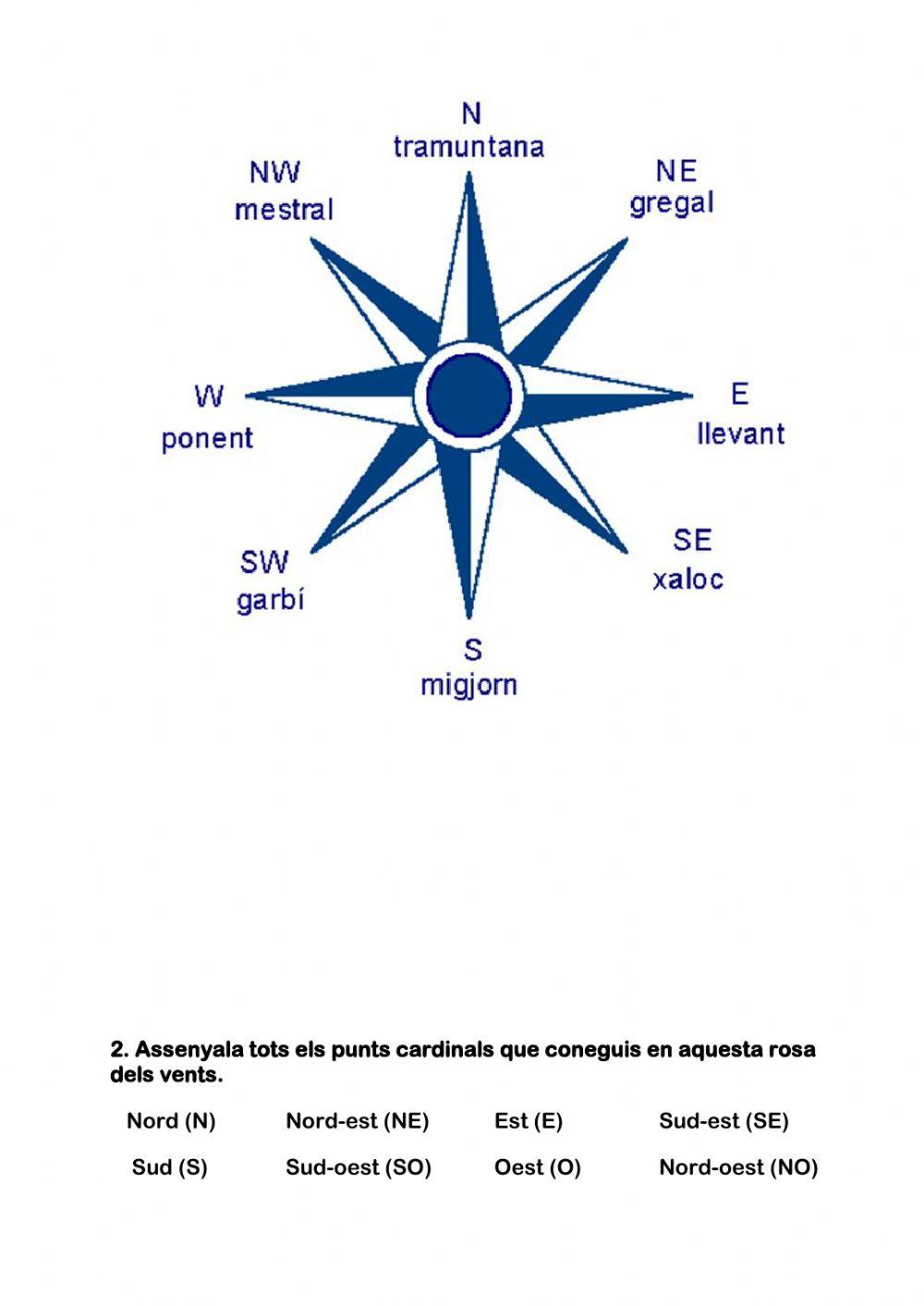 La brúixola i la rosa dels vents