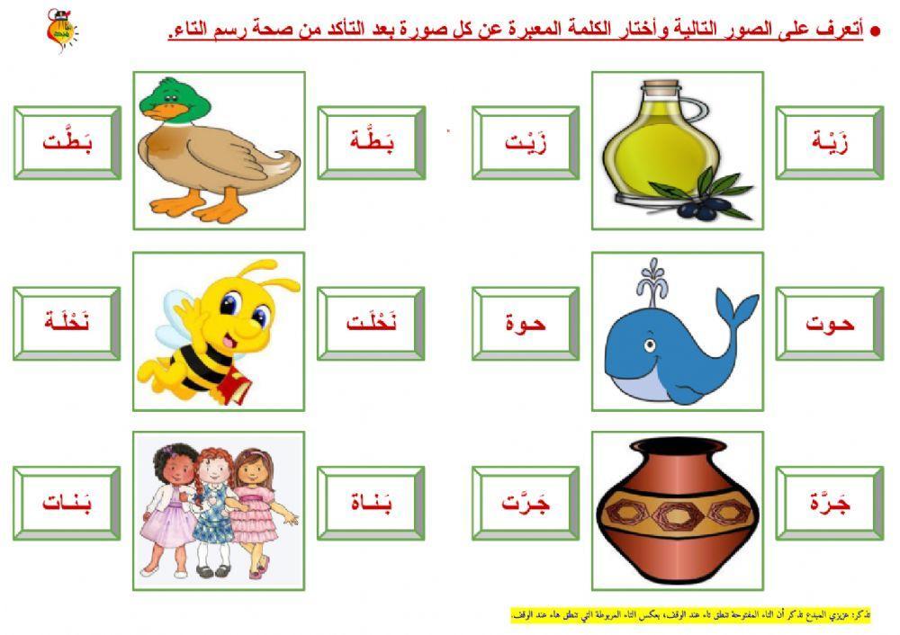 التاء المربوطة والتاء المفتوحة - ٢