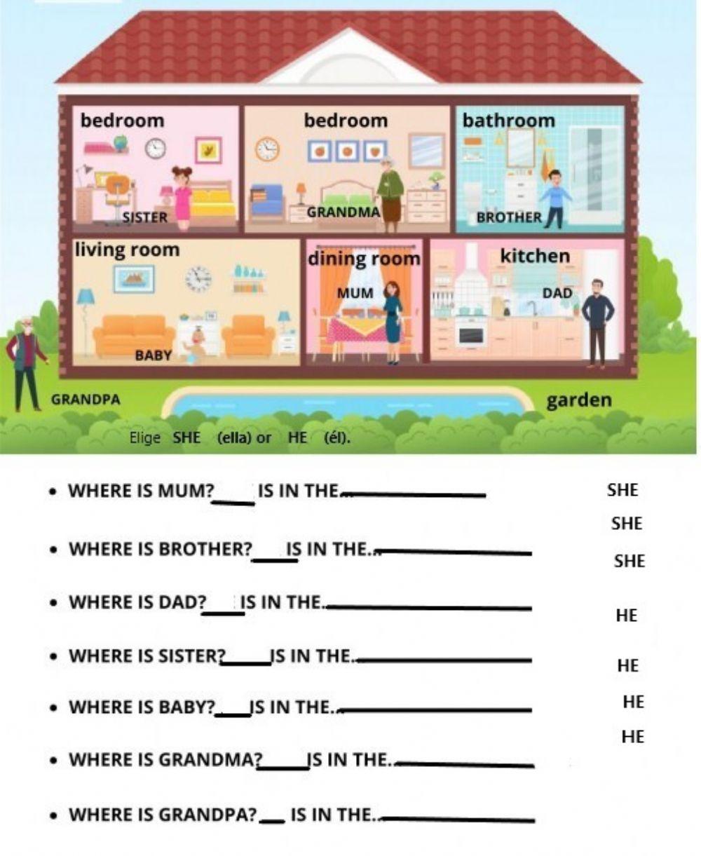 Rooms     and   she-he