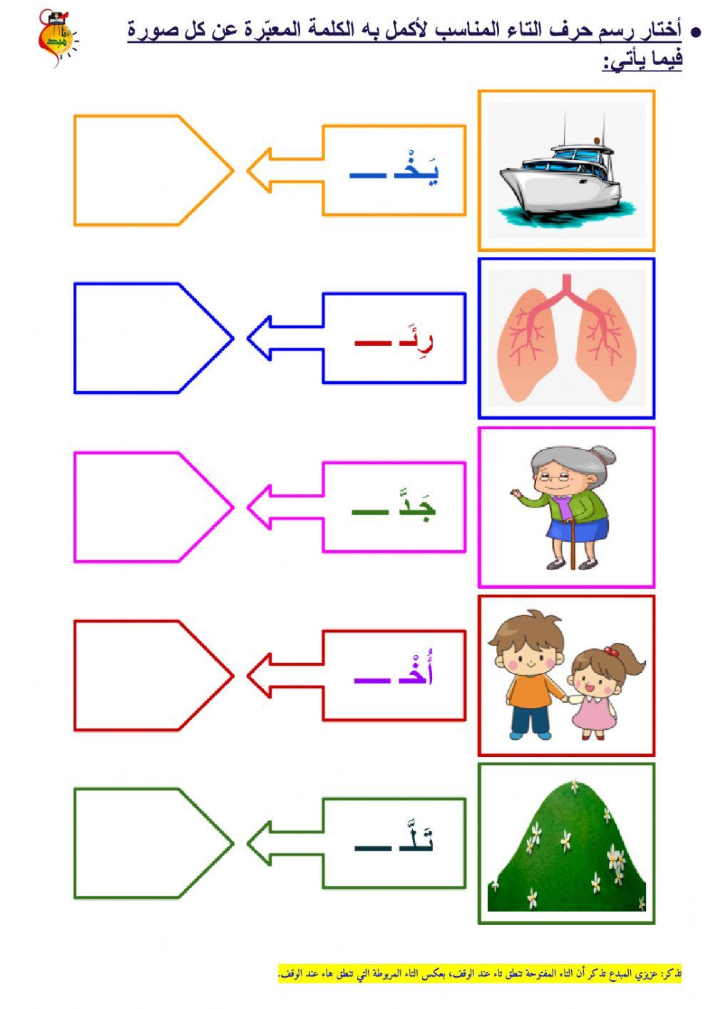 التاء المربوطة والتاء المفتوحة - ٤