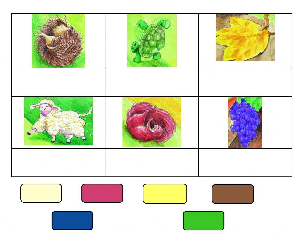 Ο Ακανθούλης - χρώματα