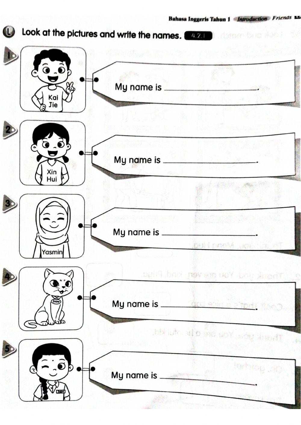 Year 1: introduction