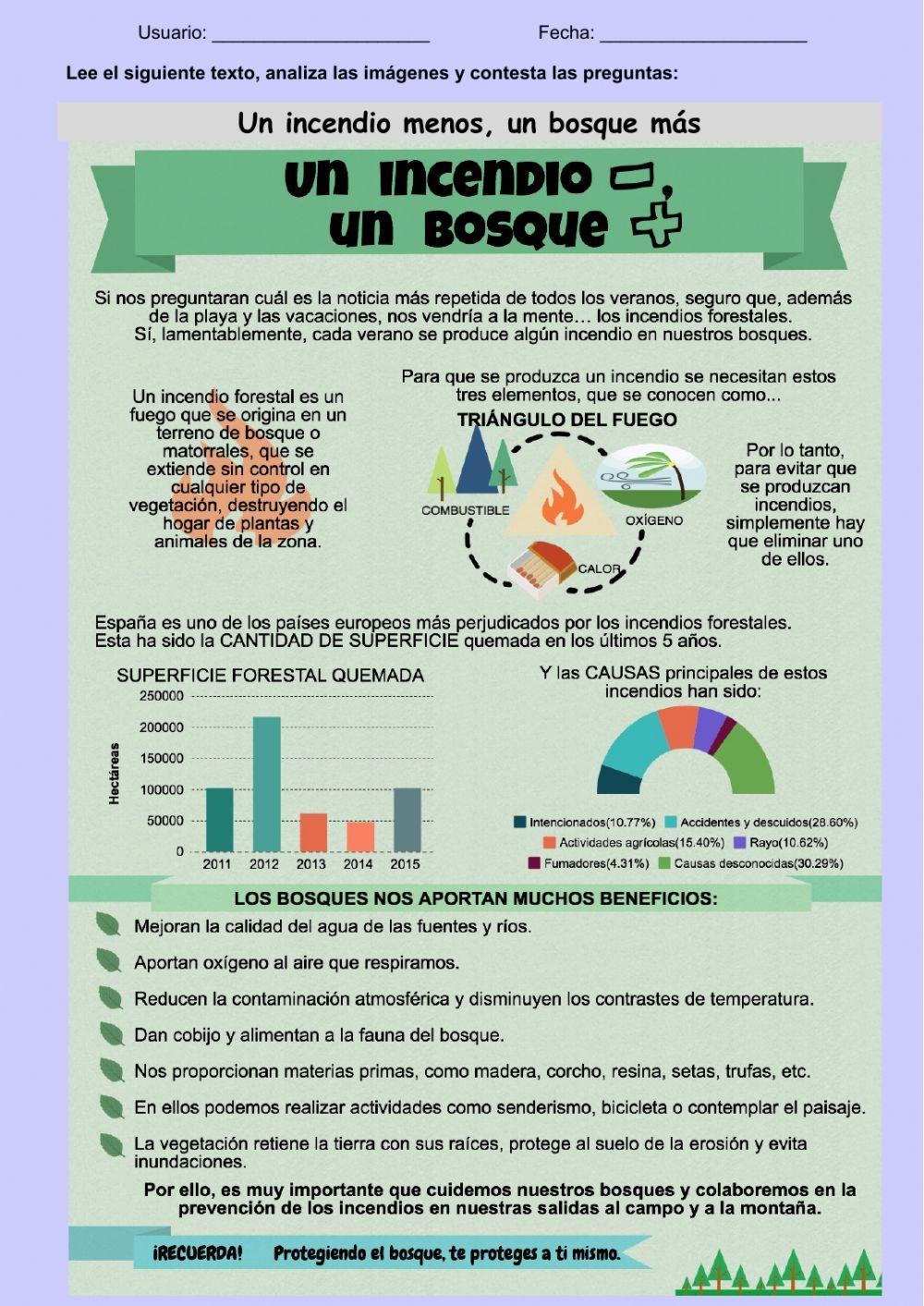 Comprensión escrita: Un incendio menos, un bosque más Comprensión escrita: Un incendio menos, un bosque más