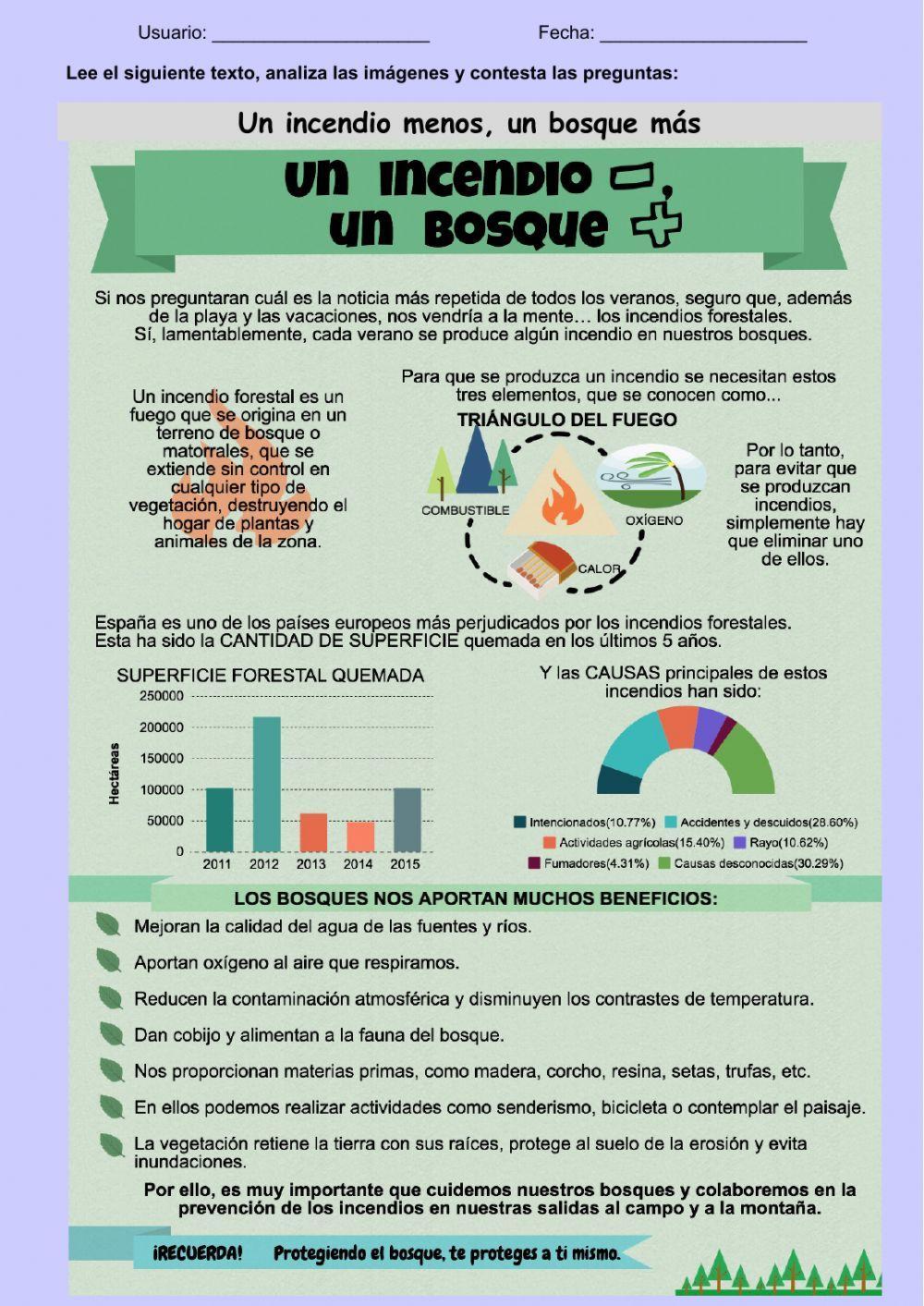 Comprensión escrita: Un incendio menos, un bosque más