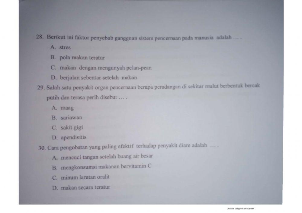 PAS Tema 3 IPA