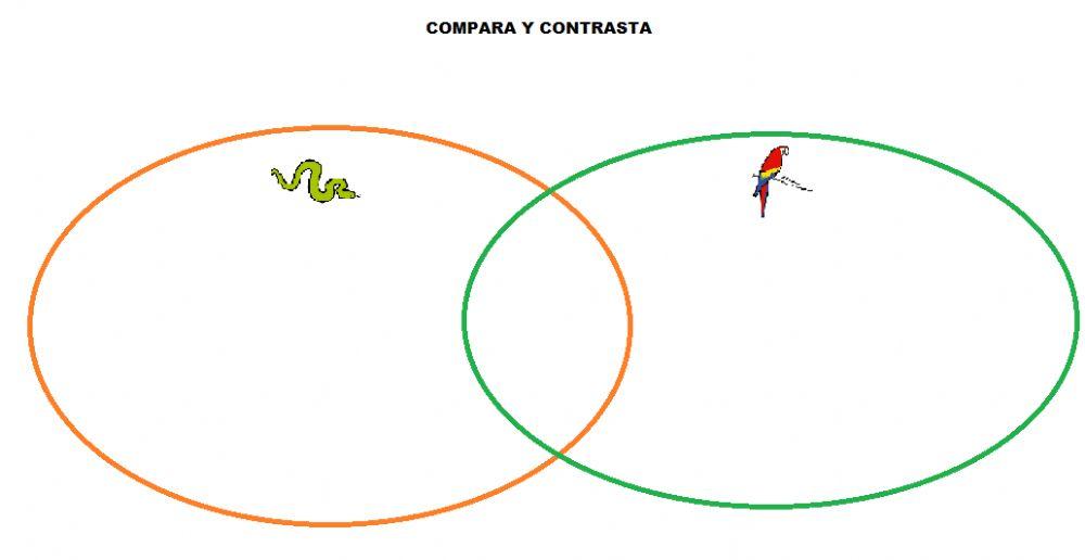 Compara y contrasta