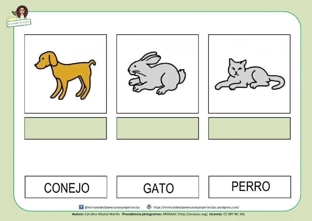 Perro, conejo y gato