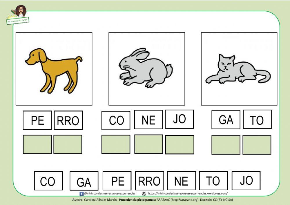 Perro, conejo y gato