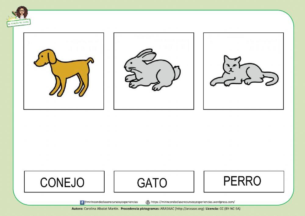 Perro, conejo y gato