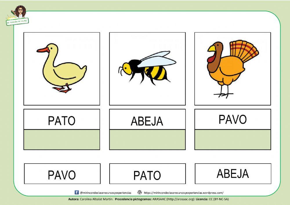 Pato, abeja y pavo