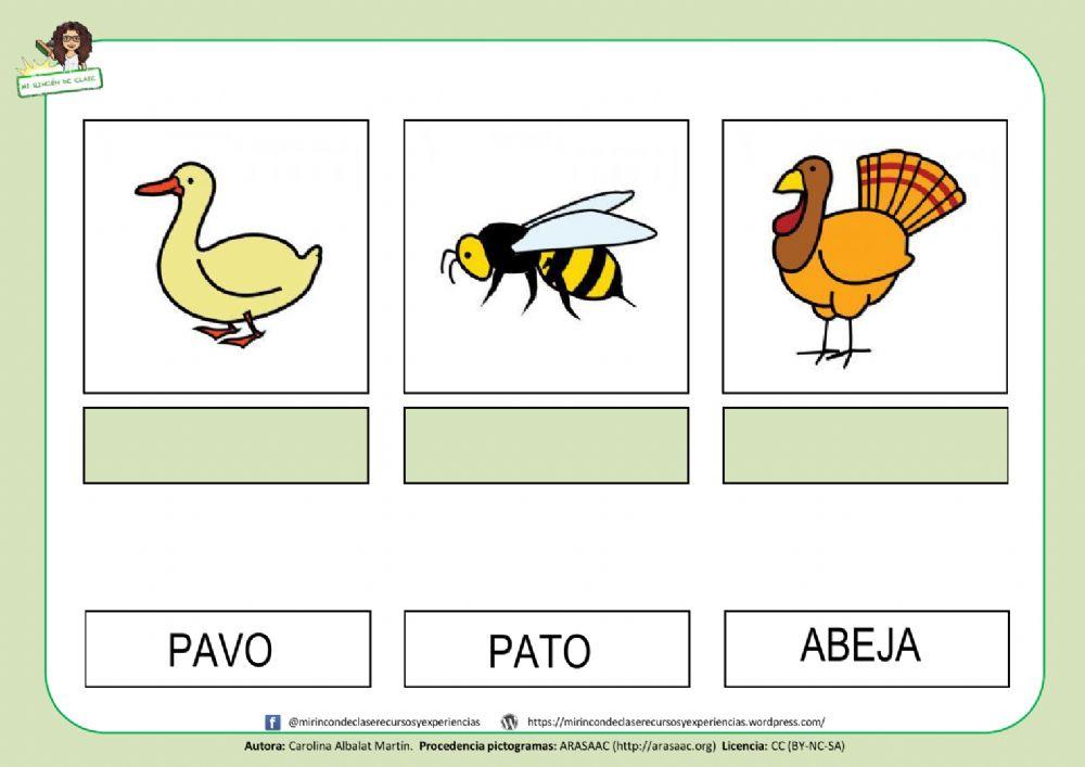 Pato, abeja y pavo