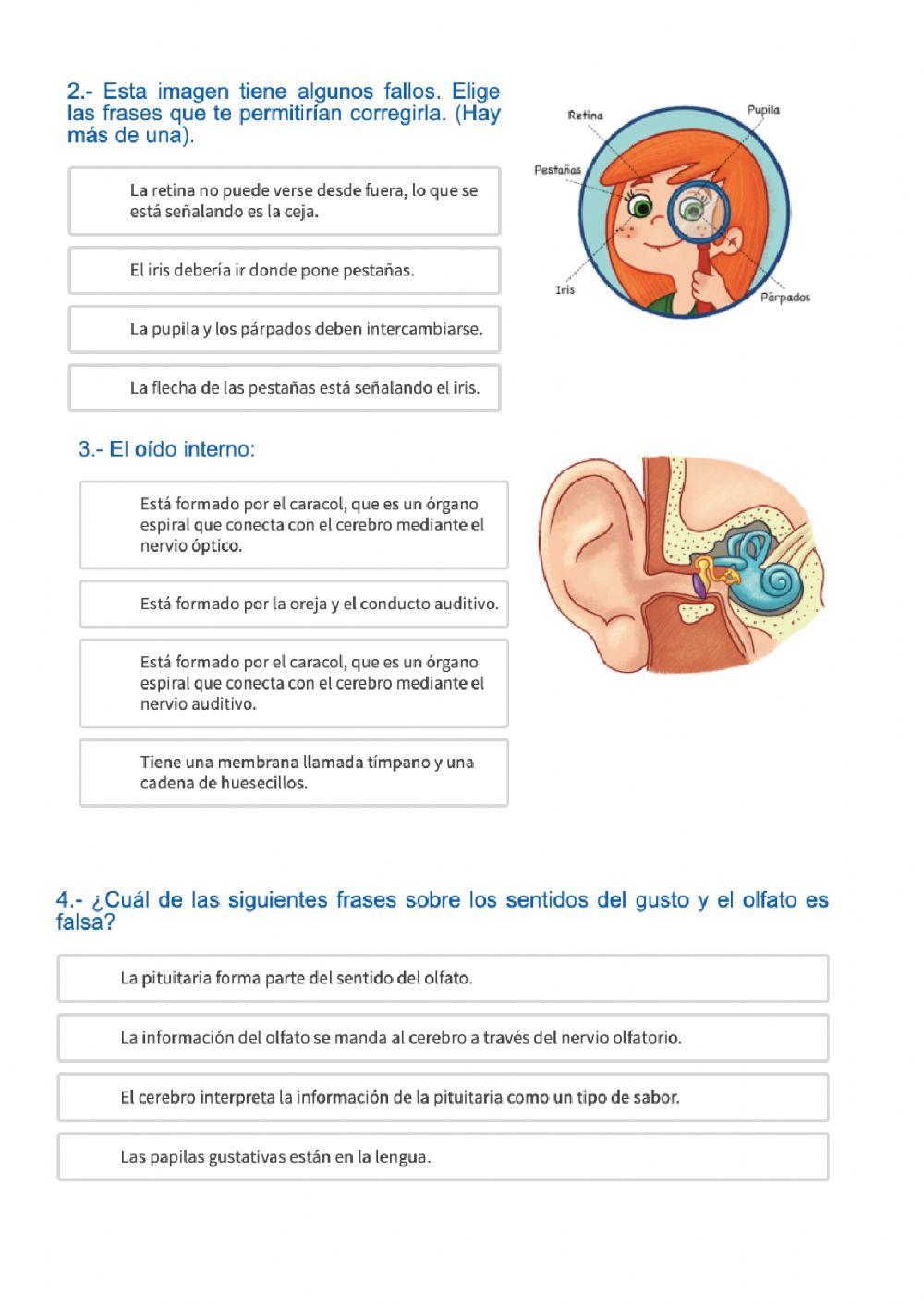 Nuestros sentidos, huesos y músculos