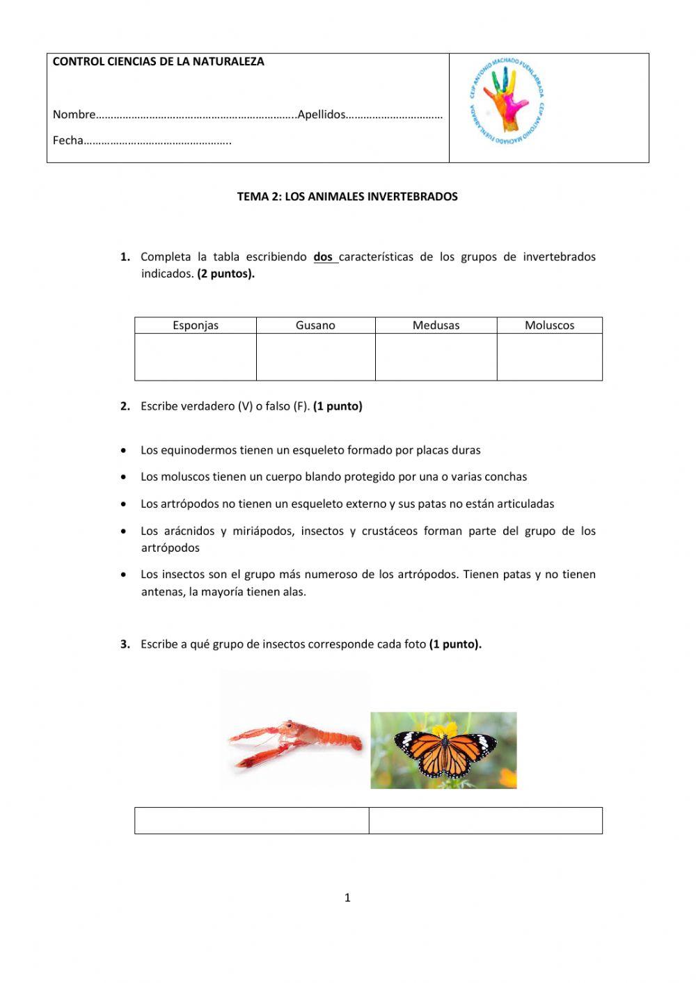EXAMEN NATURALES TEMA 2 ANIMALES INVERTEBRADOS 