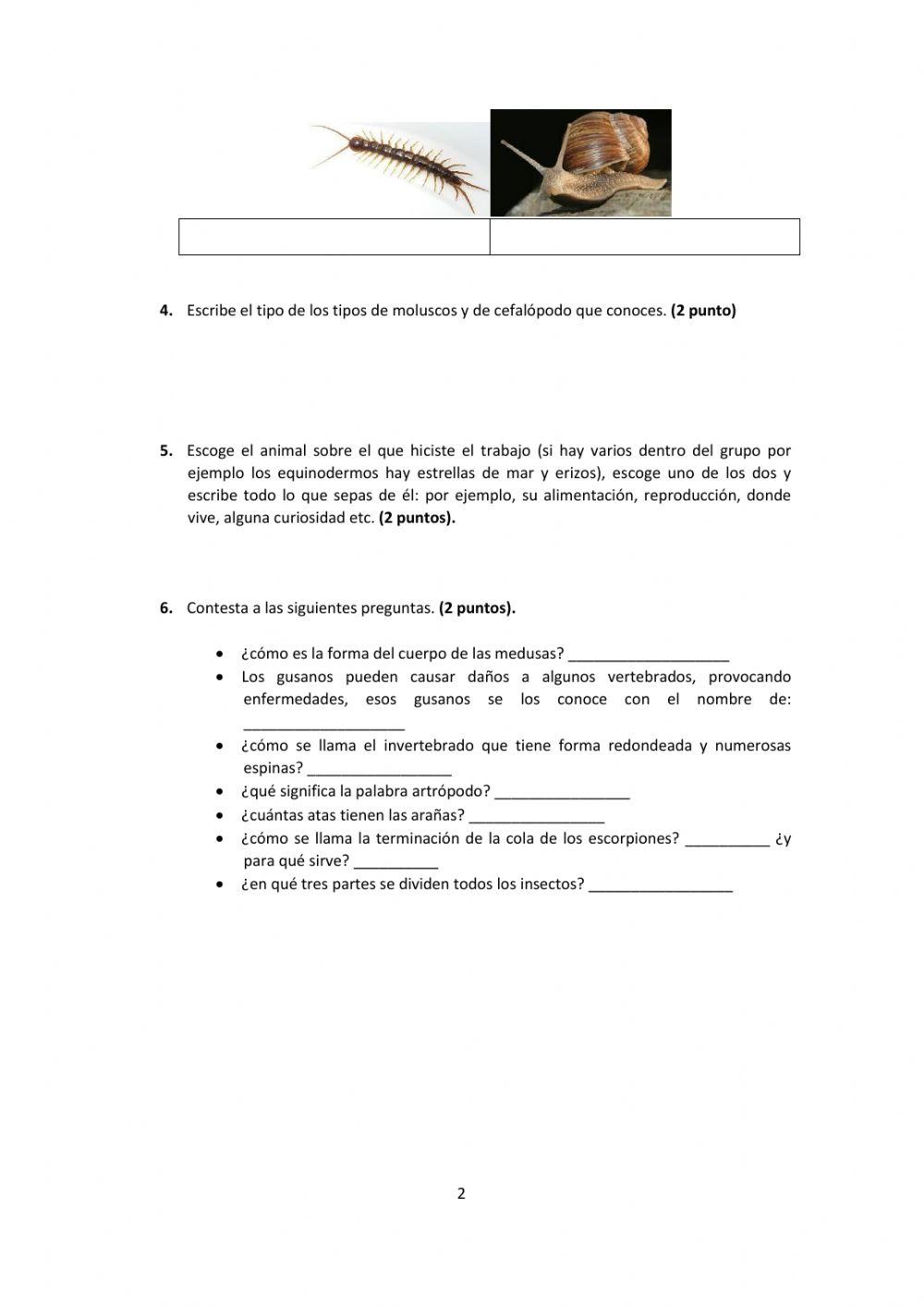 EXAMEN NATURALES TEMA 2 ANIMALES INVERTEBRADOS 