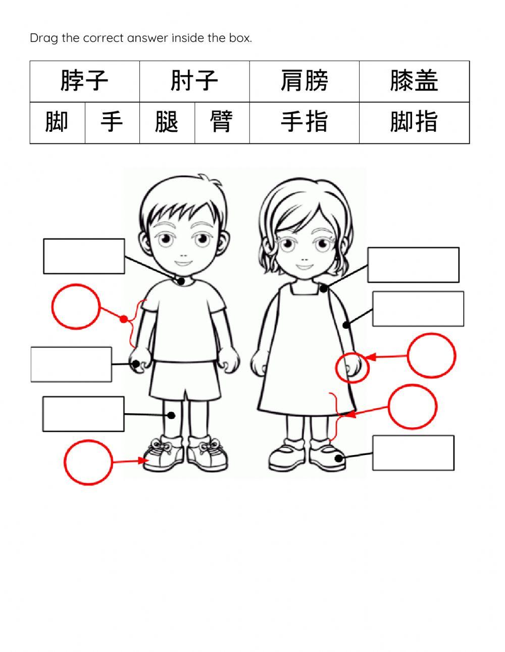 B华语练习Q2幼儿班 