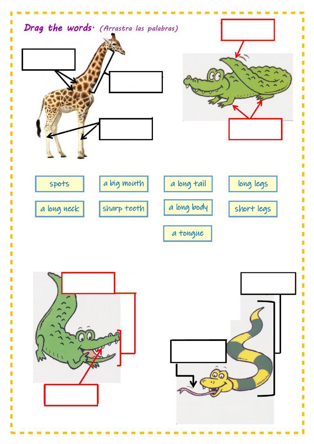 More animal body parts - Tiger 3 - Unit 2