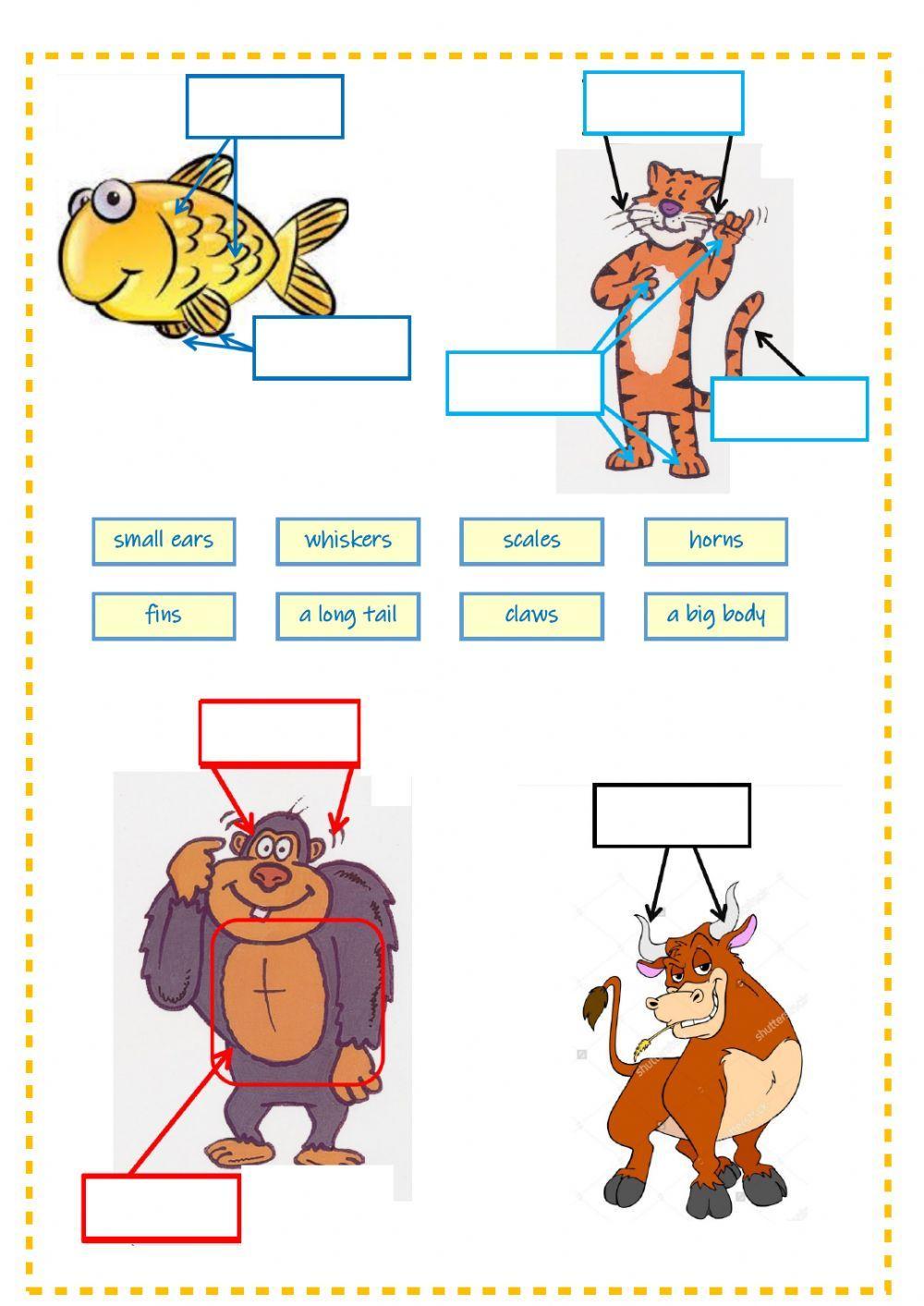 More animal body parts - Tiger 3 - Unit 2