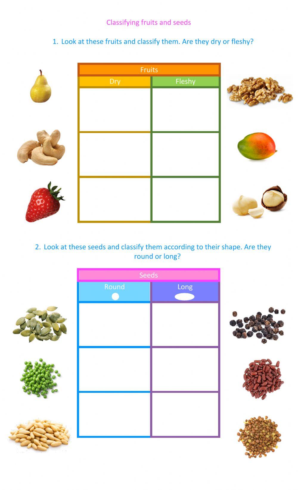 Classifying fruits and seeds