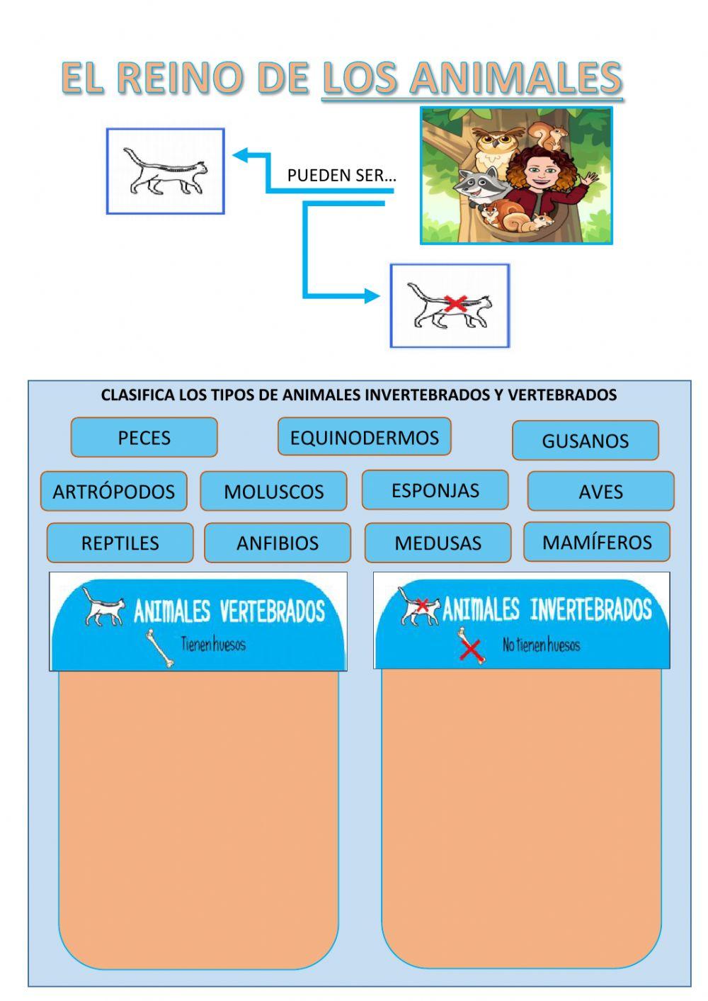 Los animales vertebrados e invertebrados