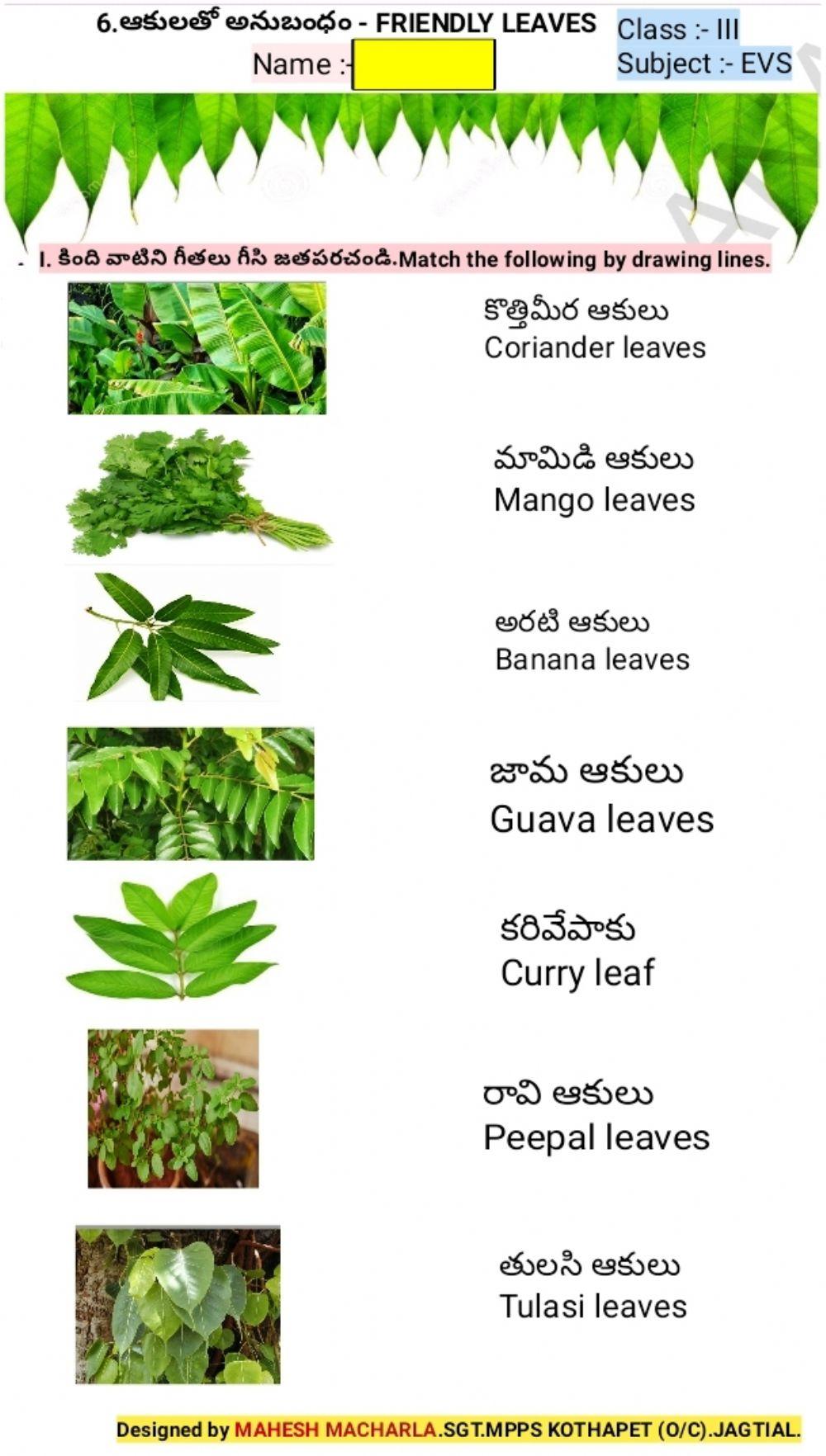 3rd-EVS-WS-6-1-BY MAHESH MACHARLA