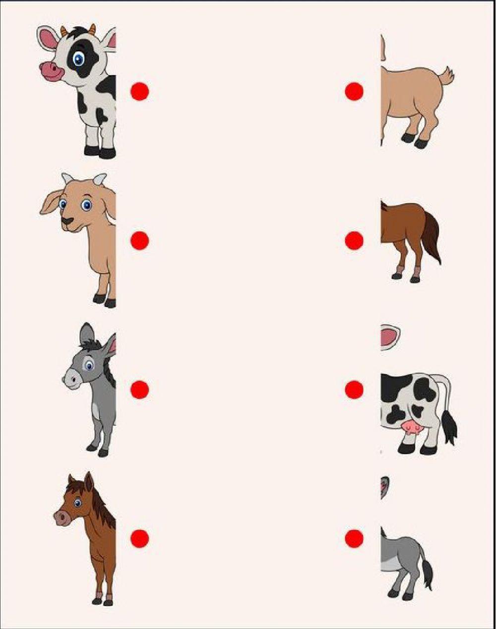 Ενώνω τα ζώα με το άλλο μισό τους