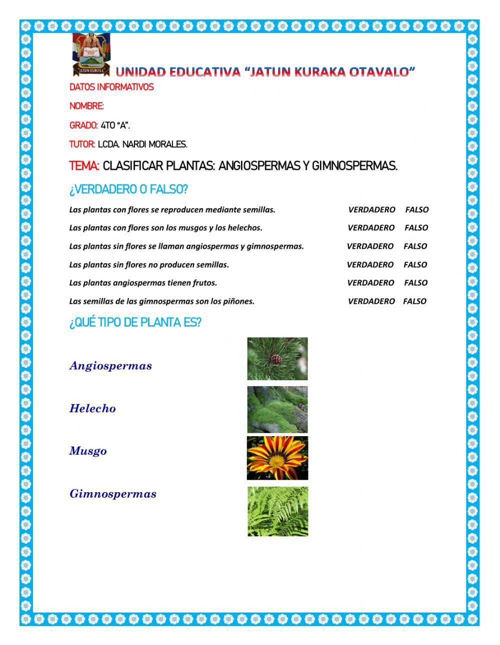 Clasificar plantas