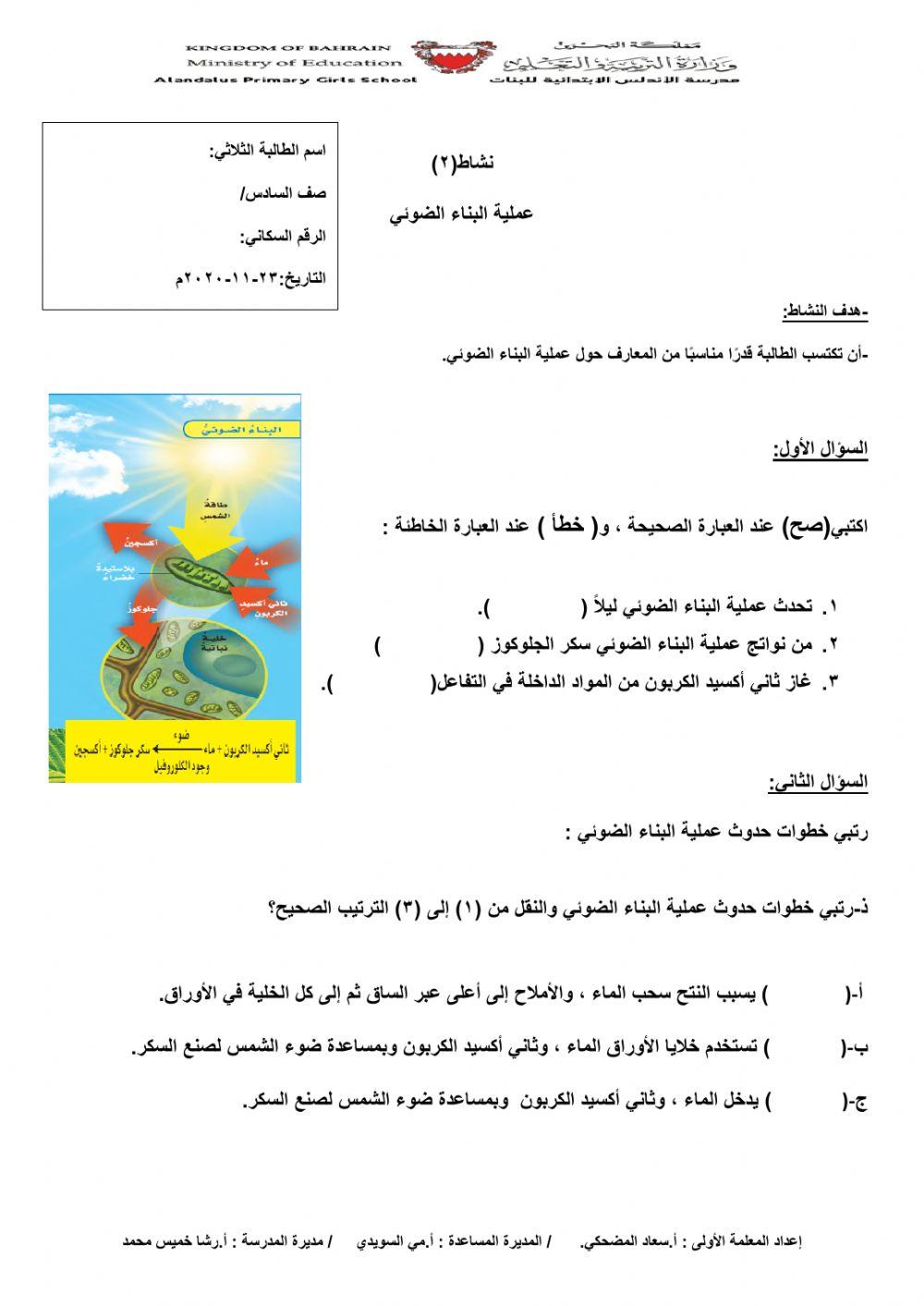 عملية البناء الضوئي والنقل