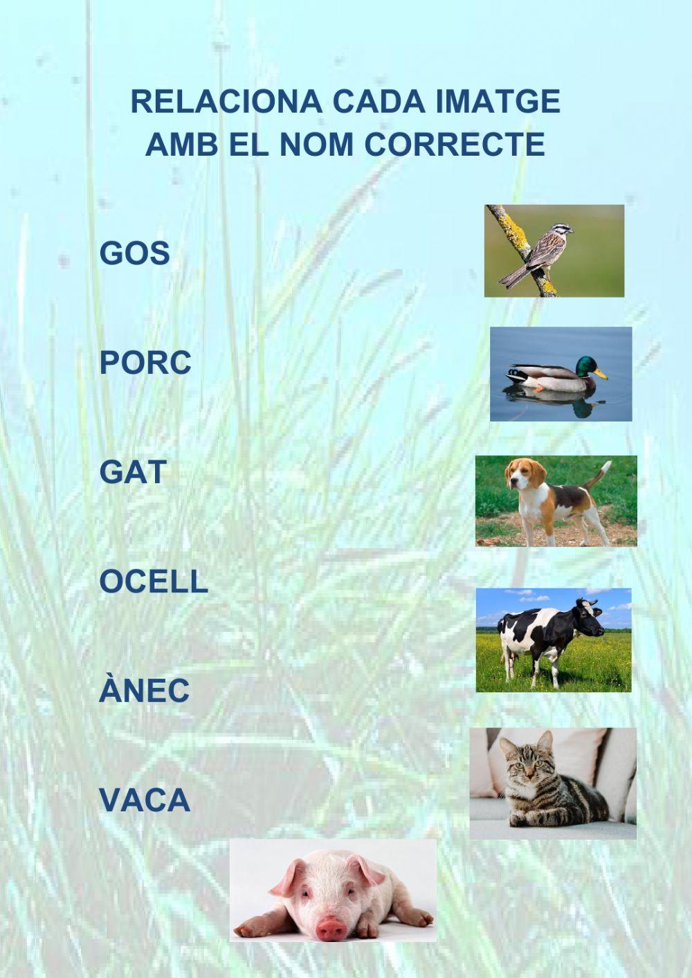 Relacionar paraula animal 2