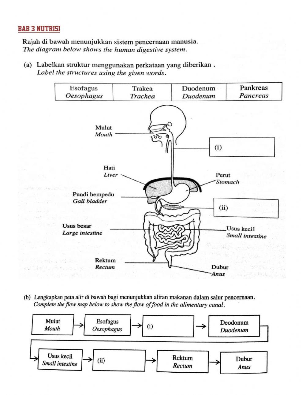 Sains tingkatan 2