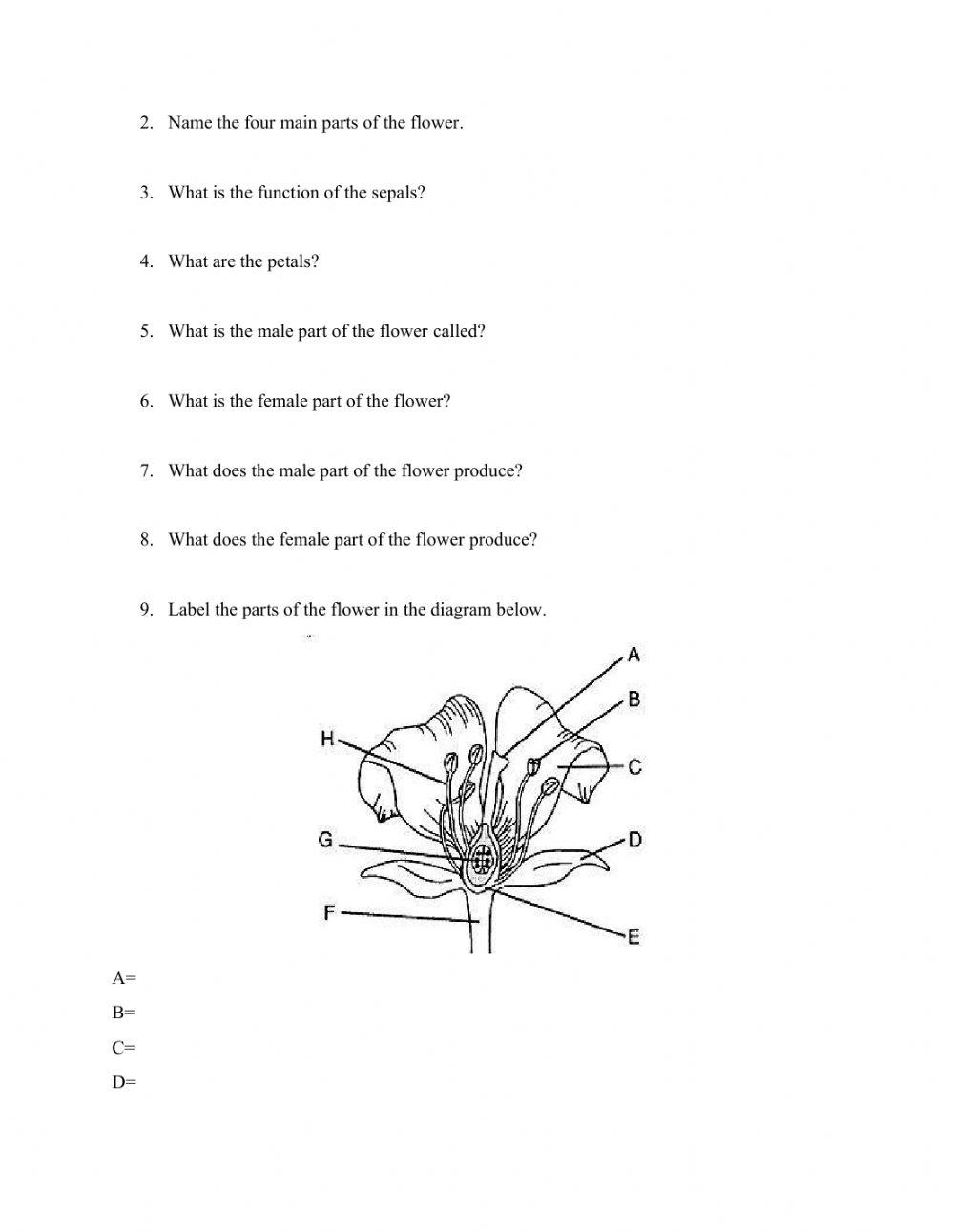 Immune System, Plant Responses and Flower to Flower worksheet | Live ...