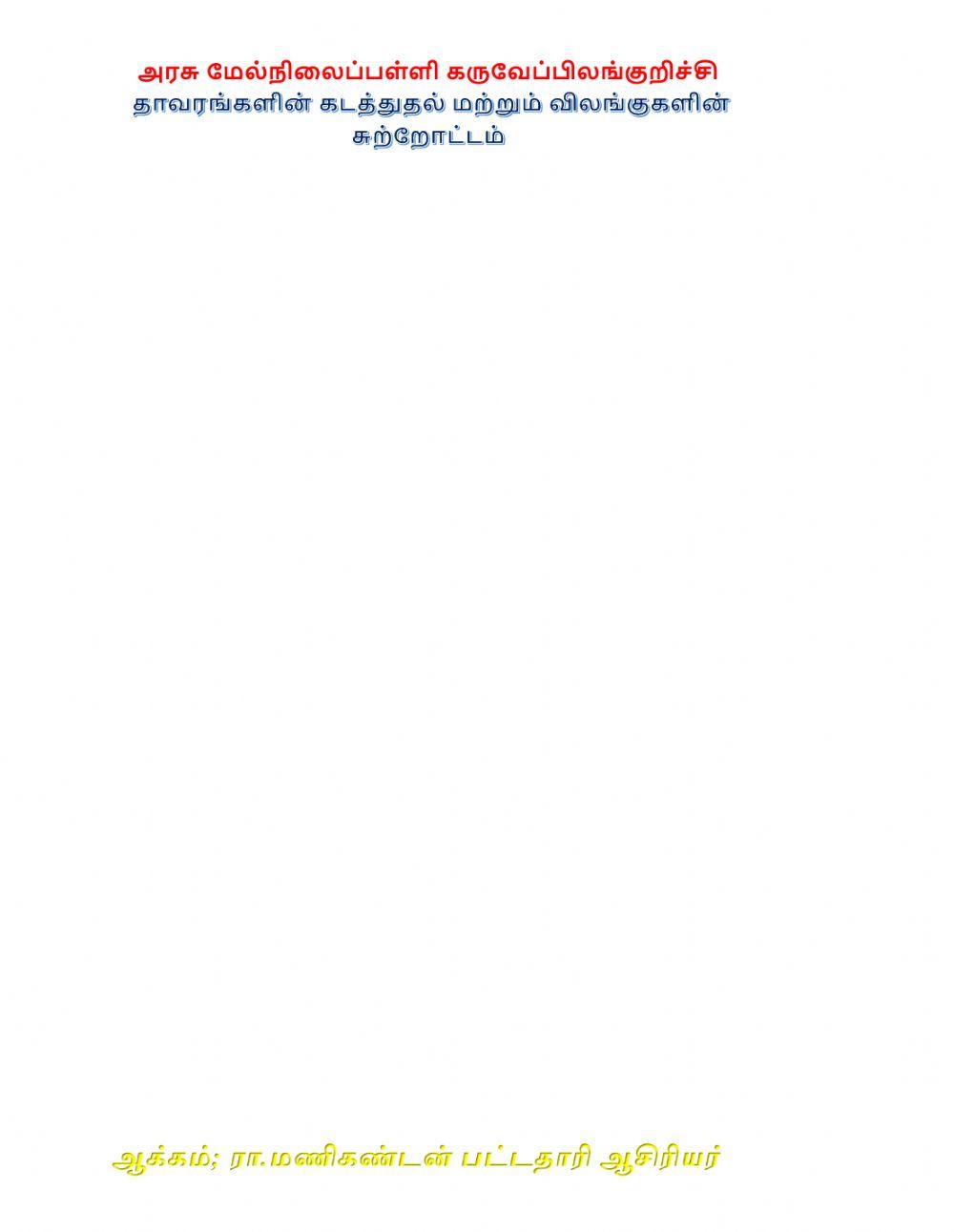 விலங்குகளின் சுற்றோட்டம்