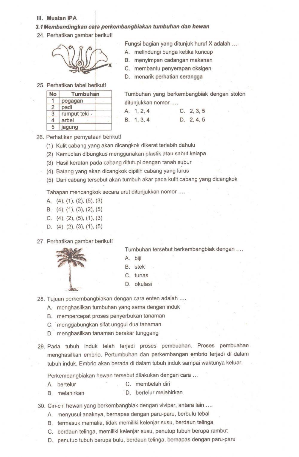 Latihan TKM IPA Tema 1