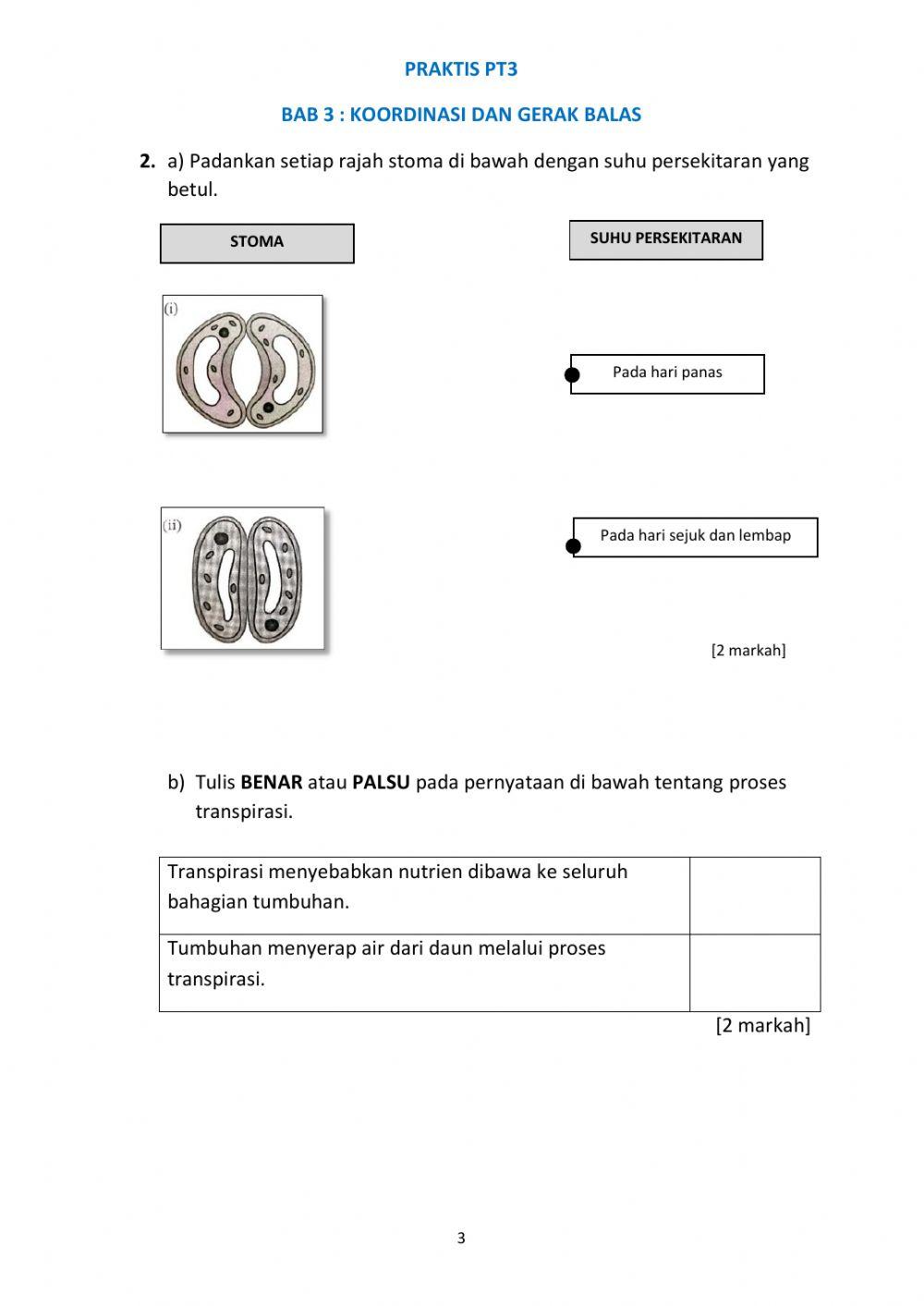 Praktis PT3 Bab 3 Tingkatan 1