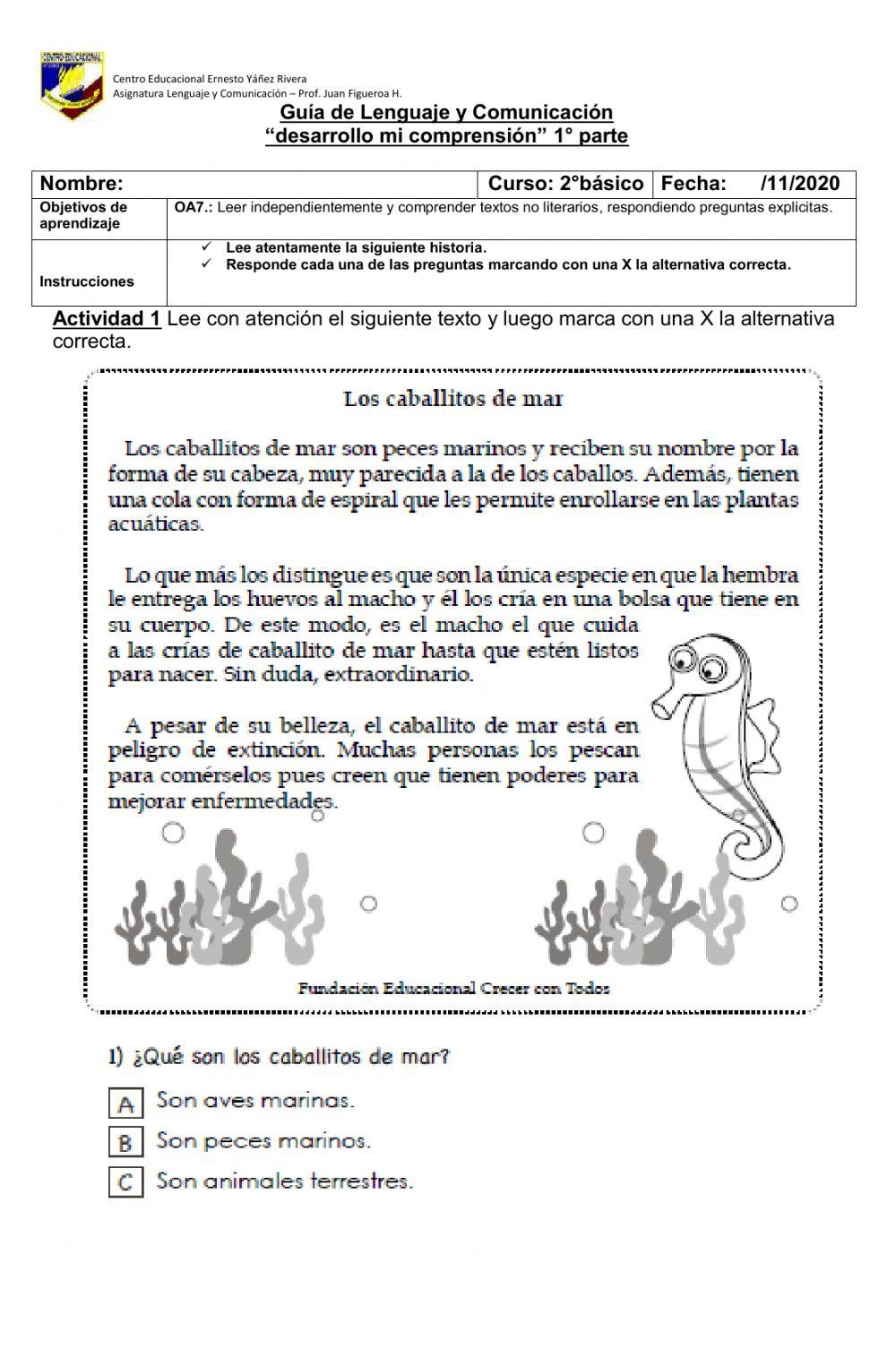 Comprensión lectora