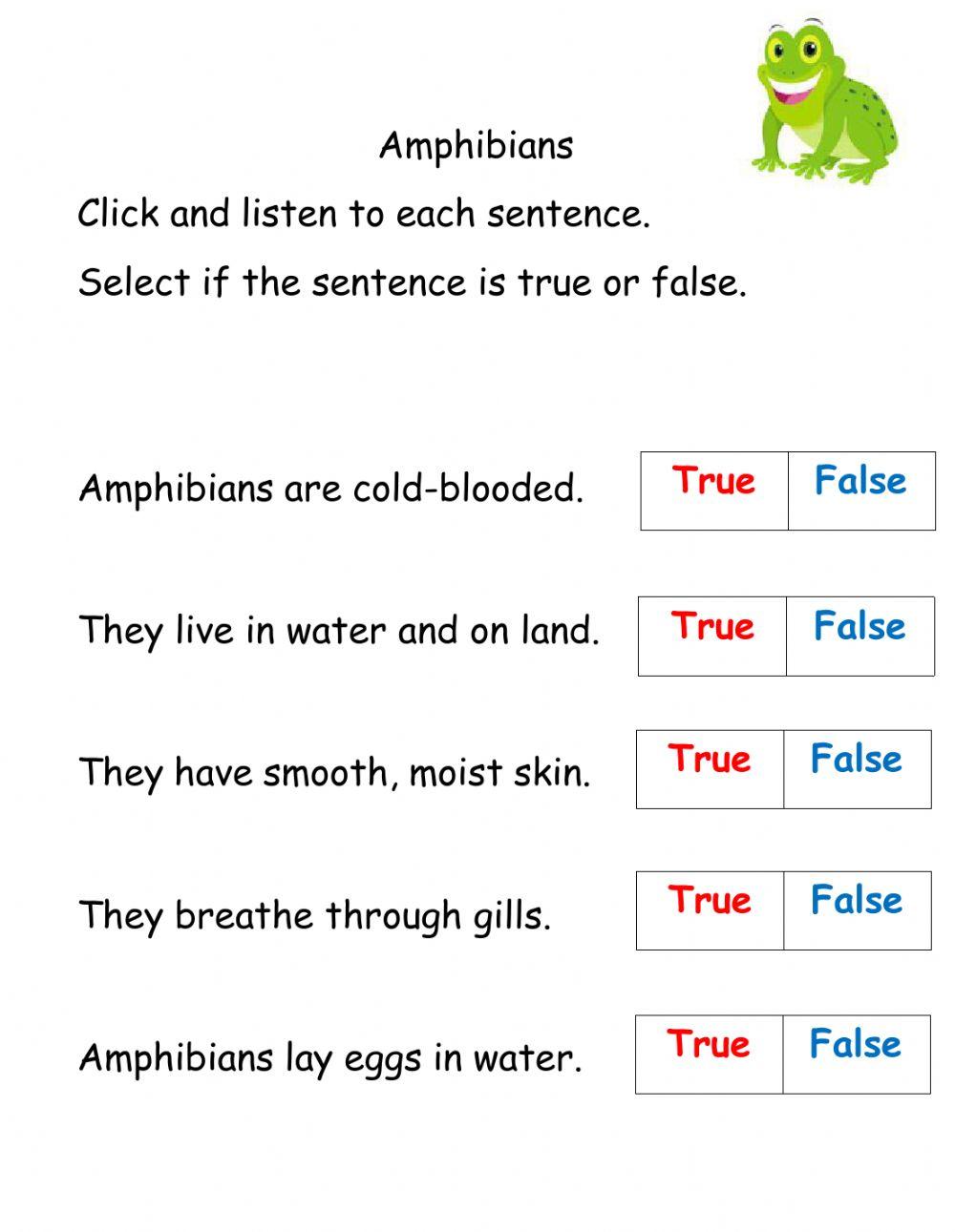 Animal Group -amphibian interactive worksheet grade1