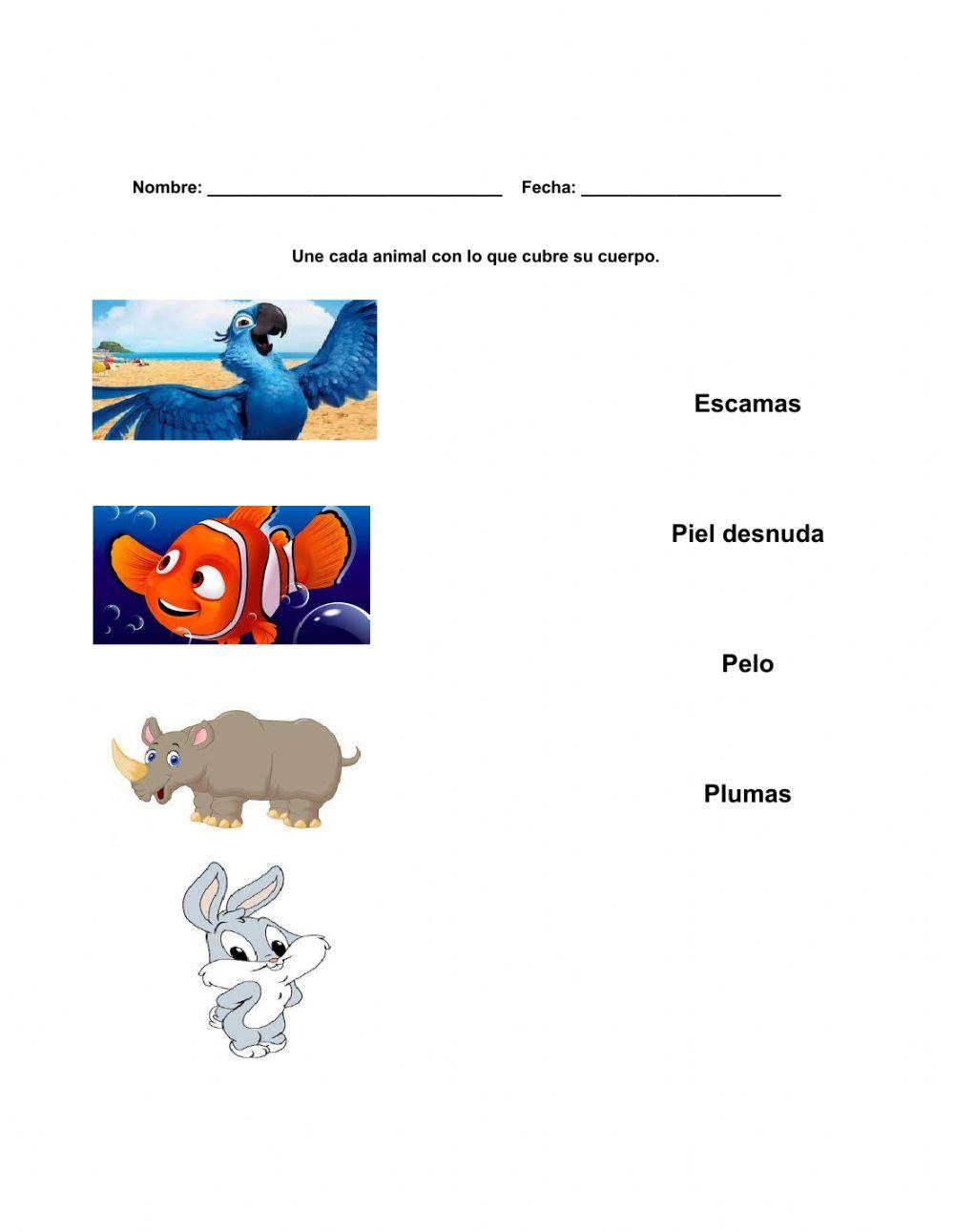 ¿Qué cubre el cuerpo de los animales?