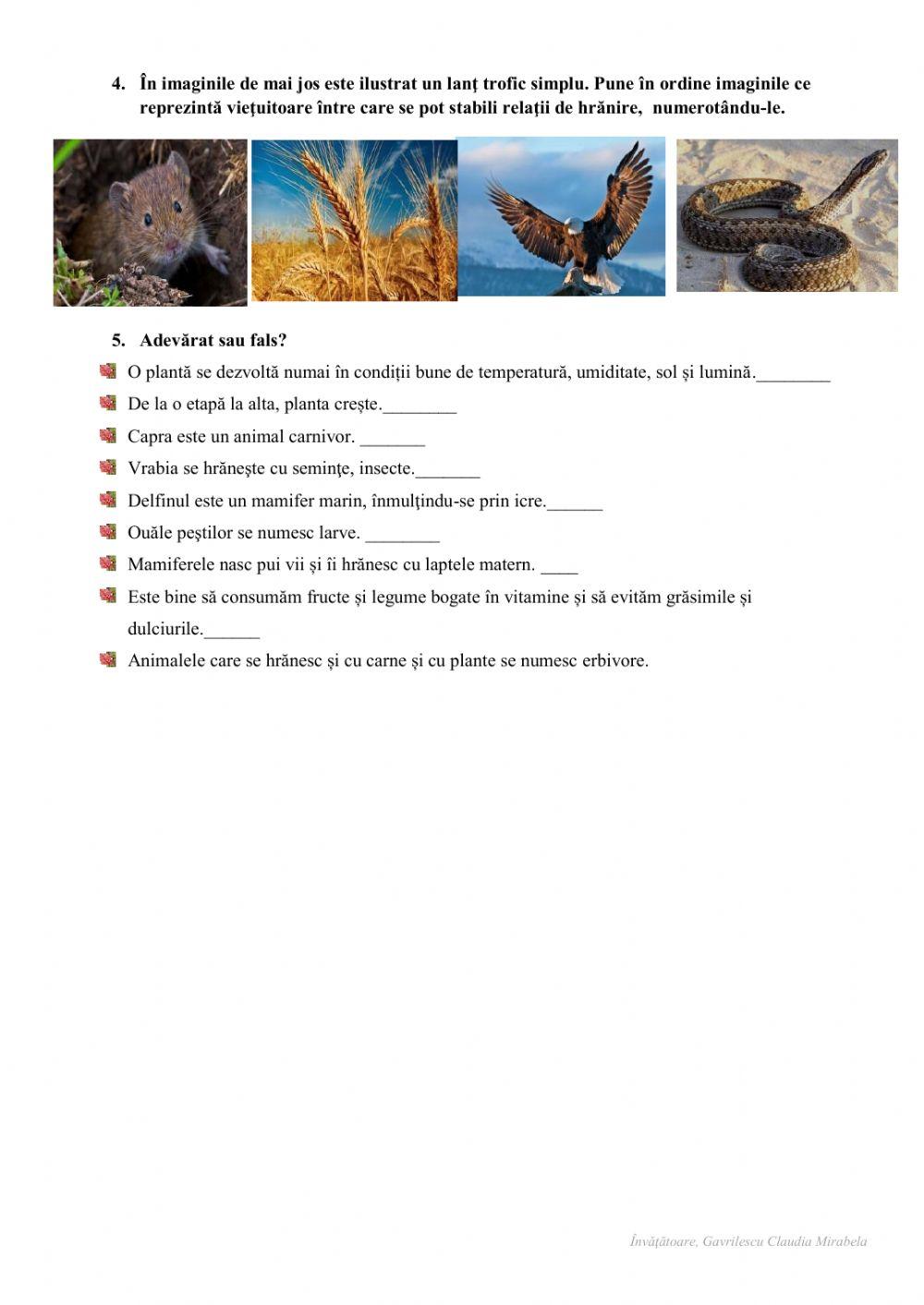 Test-despre viețuitoarea